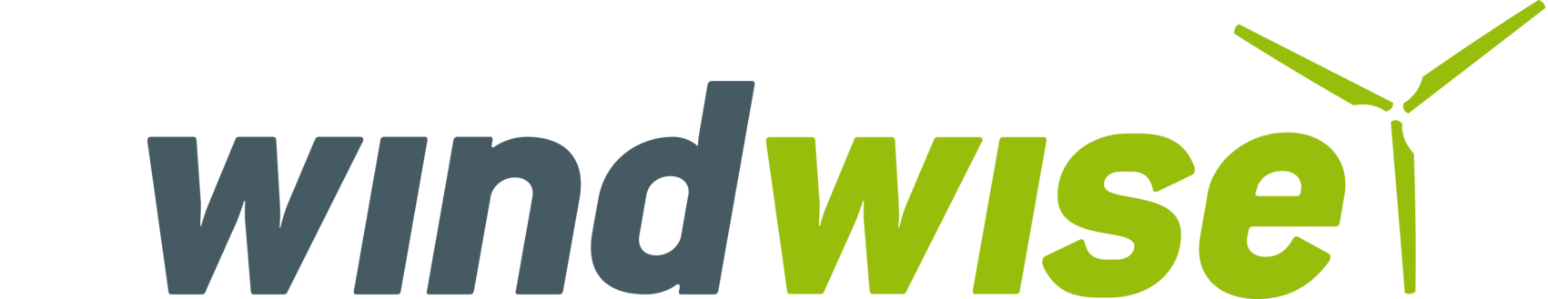 cropped-cropped-windwise-Logo-Final-RGB-XL-1536x329-1.png